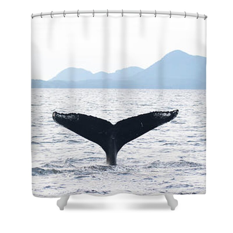 Whale Shower Curtain featuring the photograph Whale's Tail by Patrick Nowotny