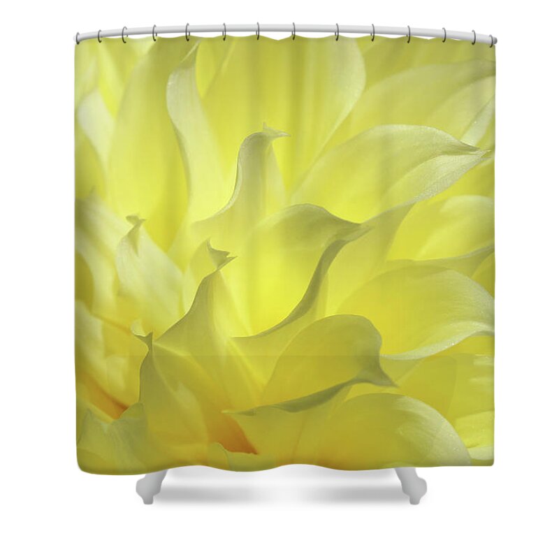 Dahlia Shower Curtain featuring the photograph Whisper by Iryna Goodall