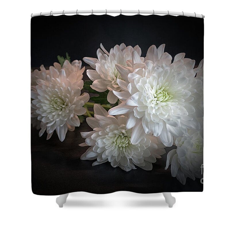 Chrysanthemums Shower Curtain featuring the photograph White Chrysanthemums by Lynn Bolt