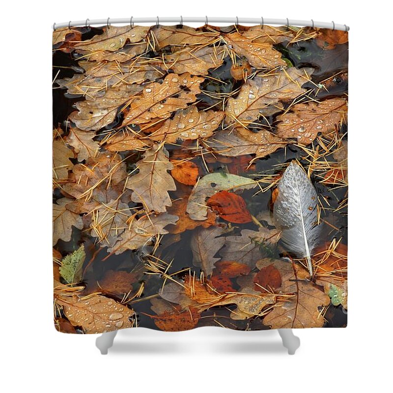 Feather Shower Curtain featuring the photograph White Feather by David Birchall