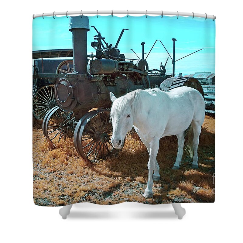 Pasture Shower Curtain featuring the photograph White Horse Iron Horse by Martin Konopacki