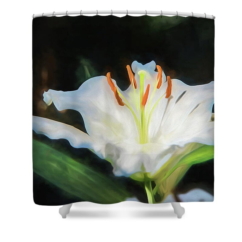White Lily Shower Curtain featuring the photograph White Lily by Alan Goldberg