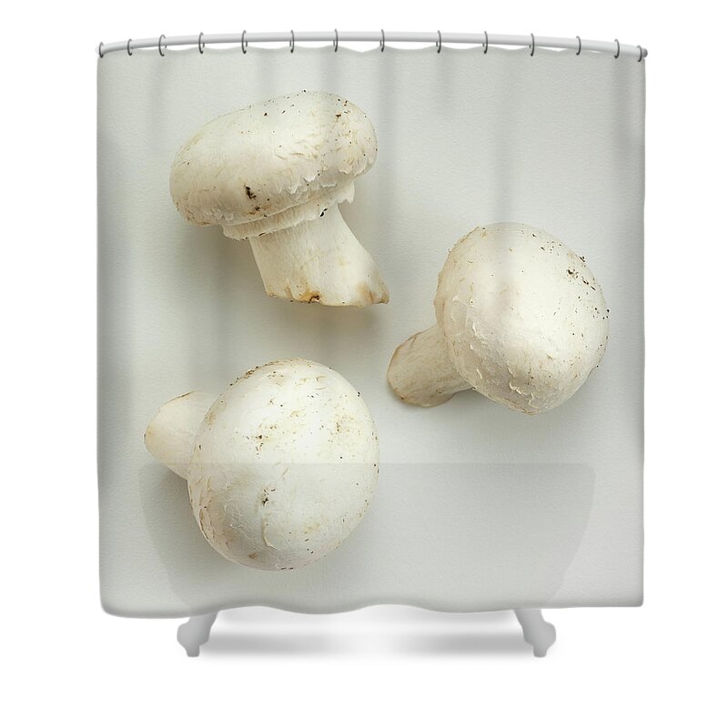 White Background Shower Curtain featuring the photograph White Mushrooms by David Bishop Inc.