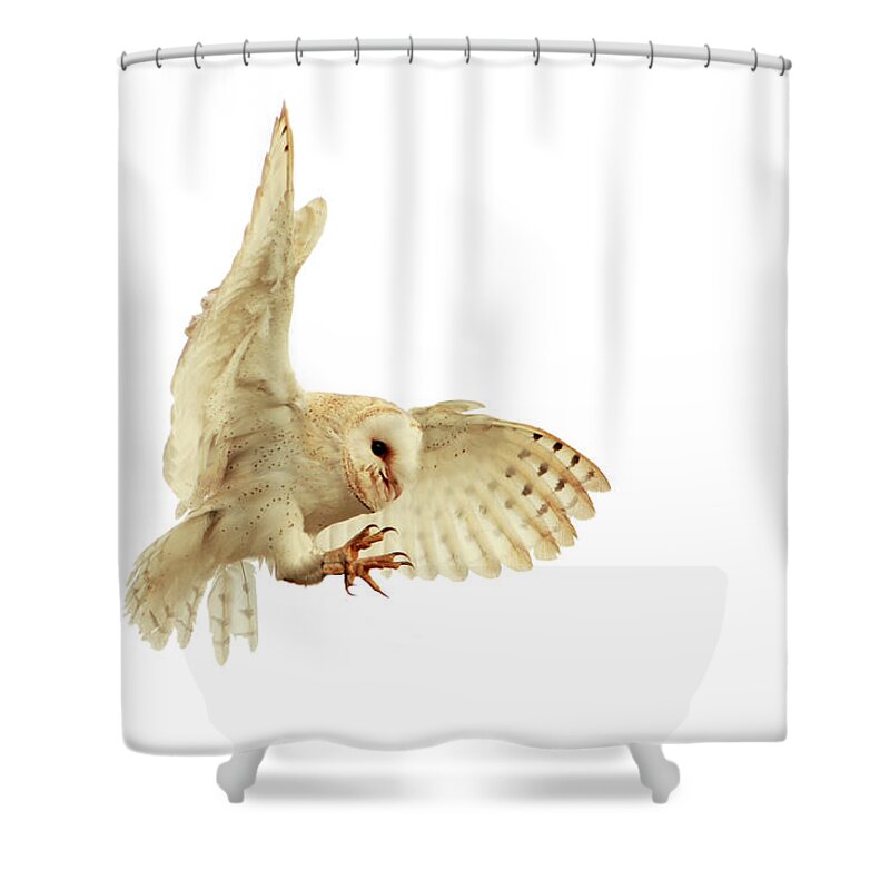 White Background Shower Curtain featuring the photograph White On White by Alex Thomson Photography