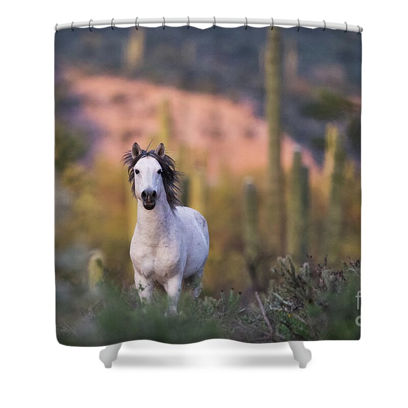 Stallion Shower Curtain featuring the photograph White Stallion by Shannon Hastings
