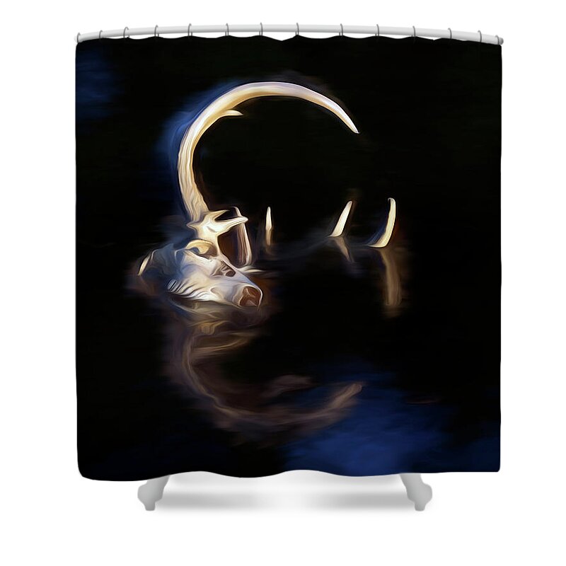 Kansas Shower Curtain featuring the photograph White-tail Deer 003 by Rob Graham