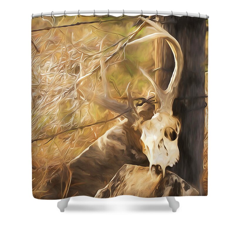 Kansas Shower Curtain featuring the photograph White-tail Deer 011 by Rob Graham
