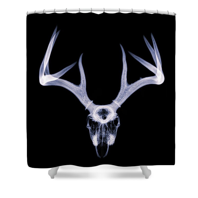 Kansas Shower Curtain featuring the photograph White-tailed Deer x-ray 012 by Rob Graham