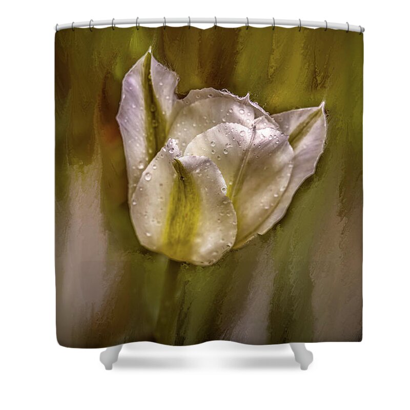 White Tulip After Rain Shower Curtain featuring the mixed media White Tulip After Rain #i7 by Leif Sohlman