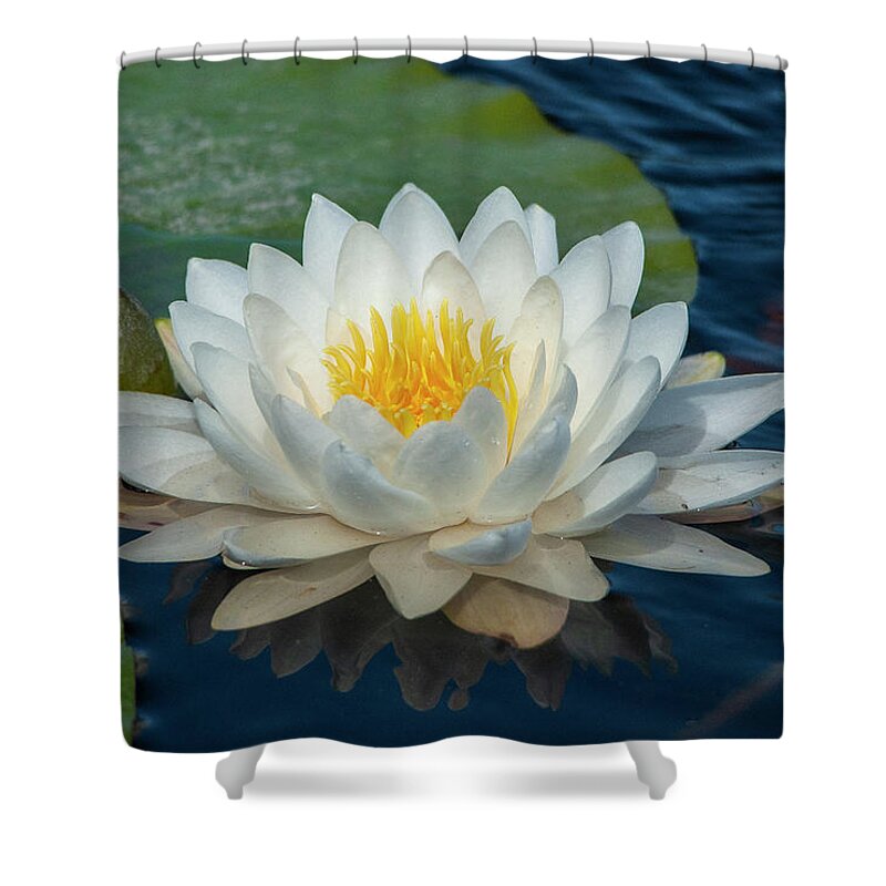White Shower Curtain featuring the photograph Lily of the Lake by Gene Bollig
