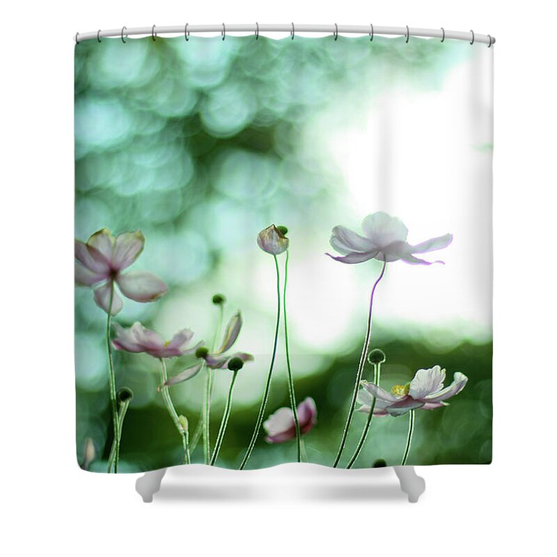Bud Shower Curtain featuring the photograph Wild Flowers by (c) Harold Lloyd