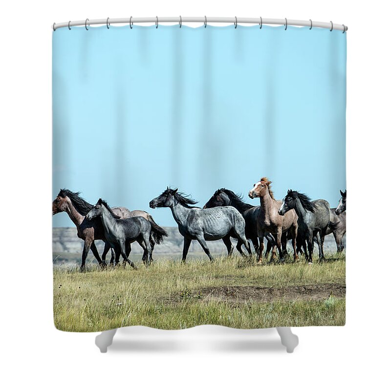 Horse Shower Curtain featuring the photograph Wild Horse In Theodore Roosevelt Natl by Mark Newman