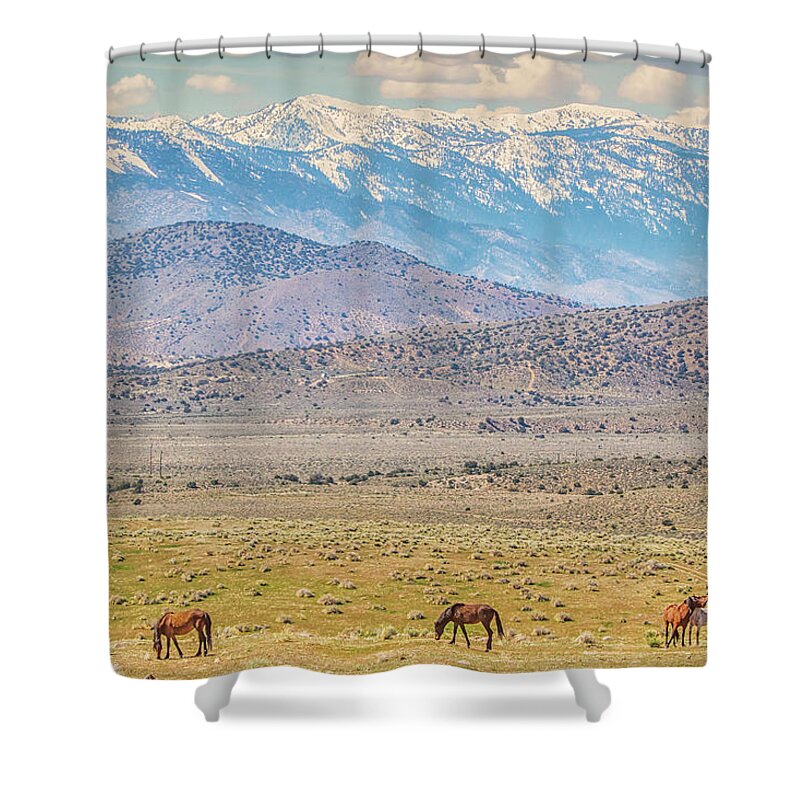 Nevada Shower Curtain featuring the photograph Wild Horses Above Carson Valley by Marc Crumpler