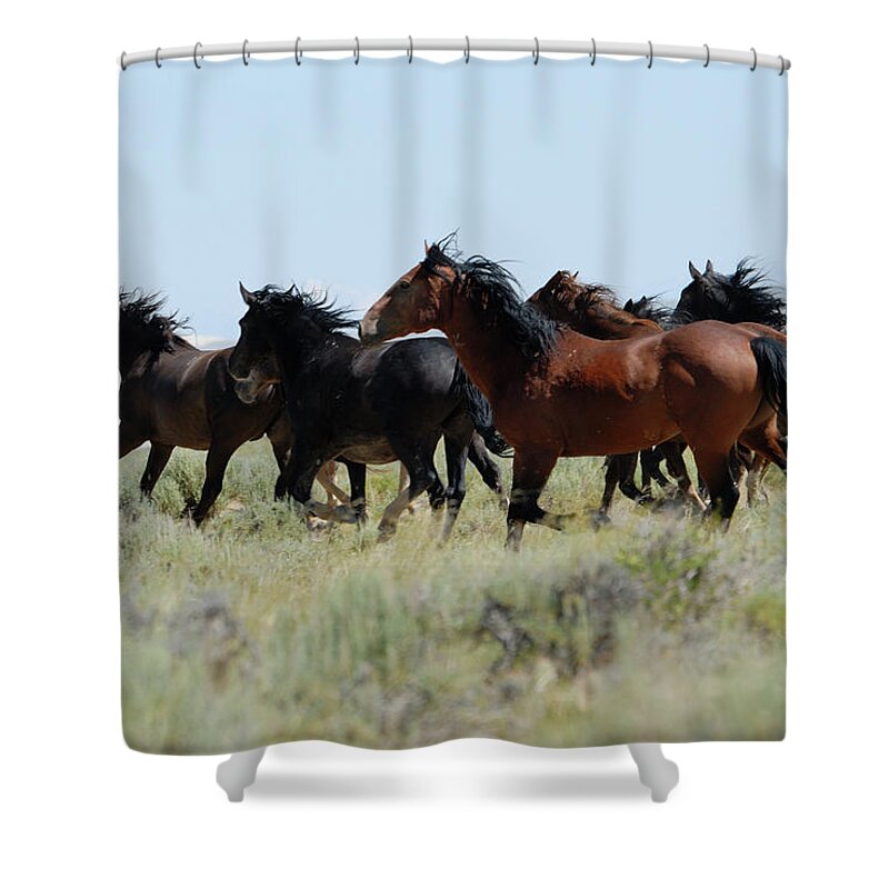 Horse Shower Curtain featuring the photograph Wild Horses Of Wyoming by Skibreck