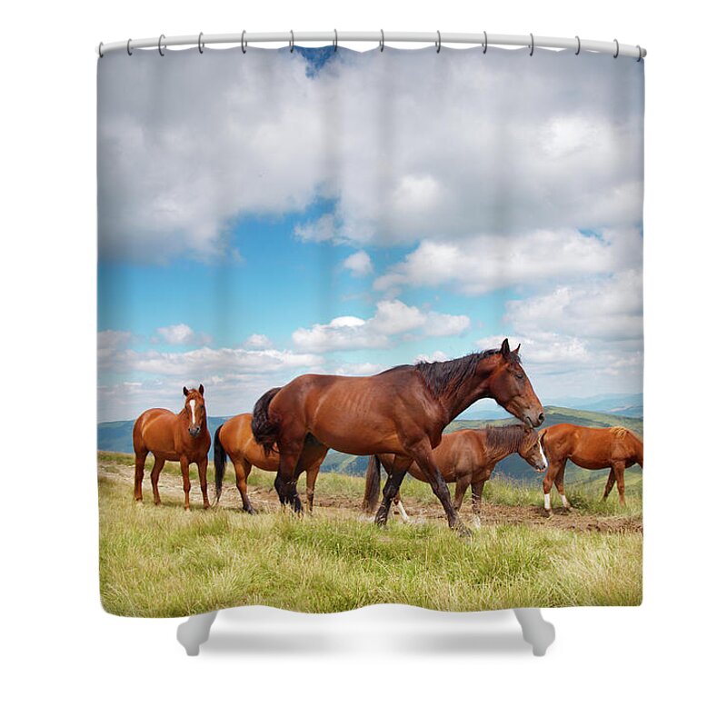 Horse Shower Curtain featuring the photograph Wild Horses by Sandsun