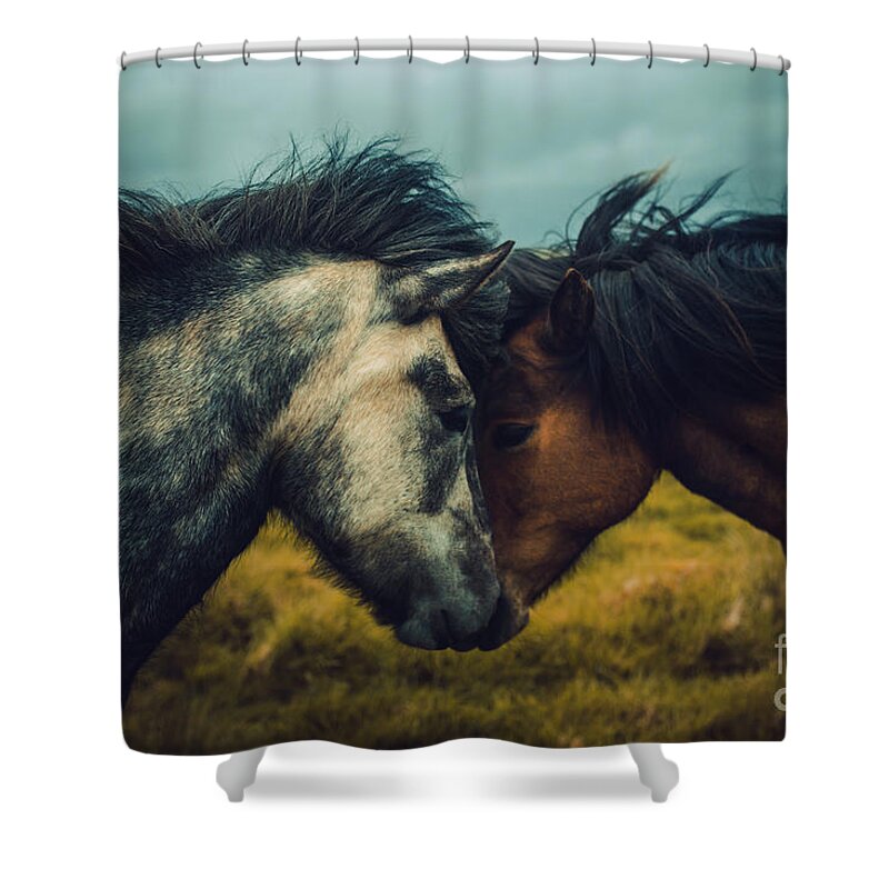Horse Shower Curtain featuring the photograph Wild Love by Andris Barbans / 500px