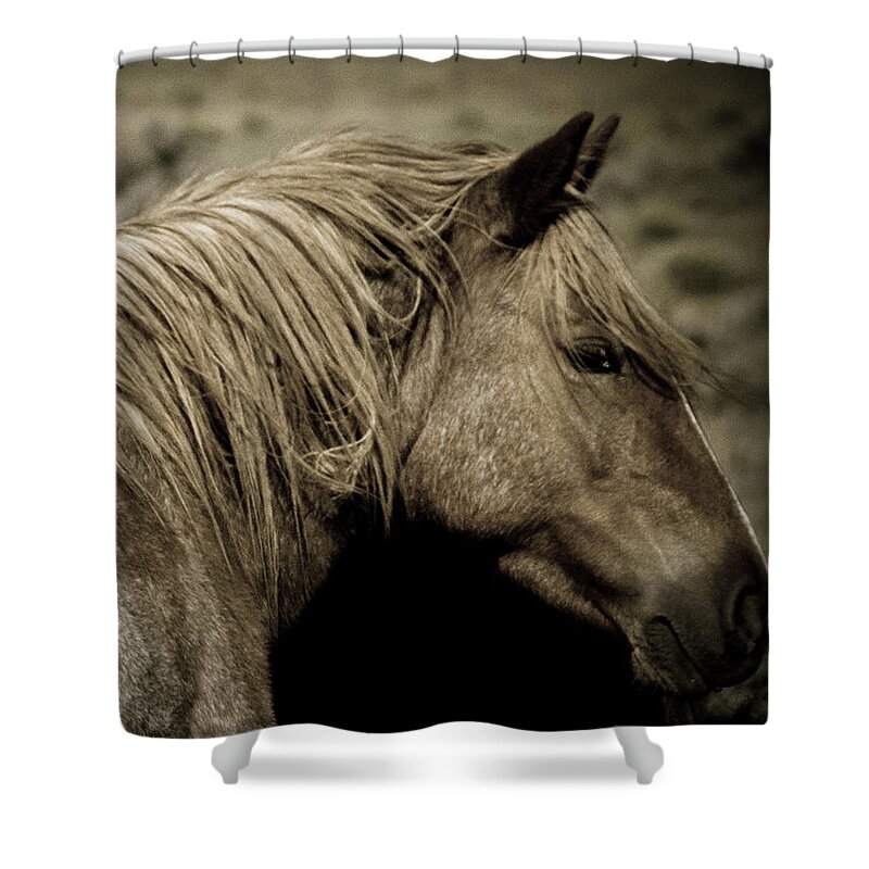 Andalusia Shower Curtain featuring the photograph Wild Mustangs of New Mexico 13 by Catherine Sobredo