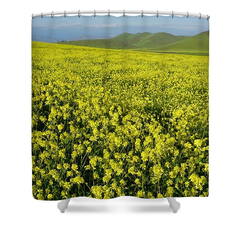 Wildflowers Shower Curtain featuring the photograph Wild Mustard Yokohl Valley by Brett Harvey