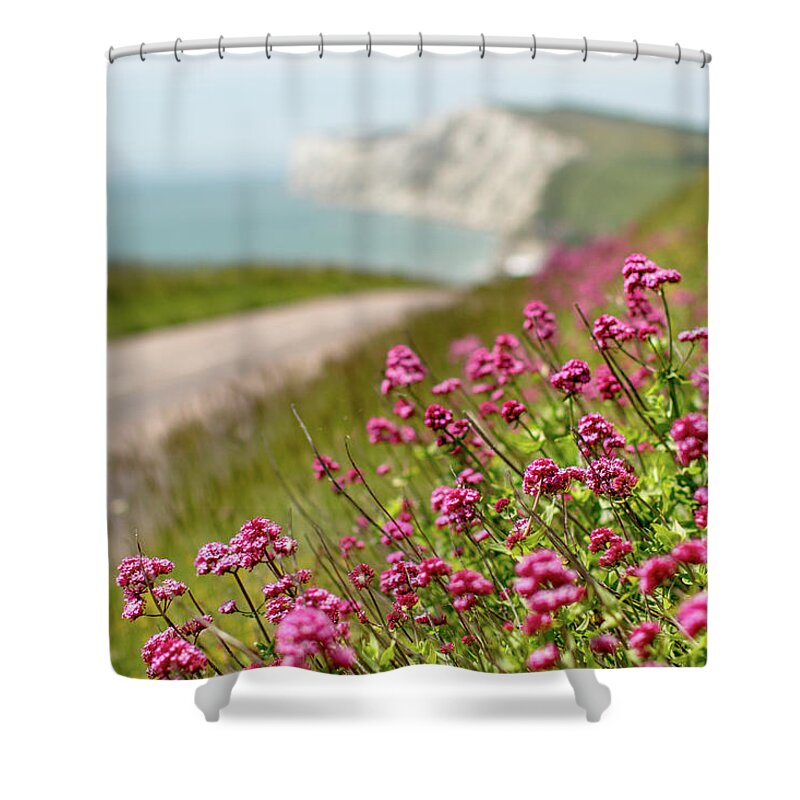 Scenics Shower Curtain featuring the photograph Wild Valerian Growing On The Road To by S0ulsurfing - Jason Swain