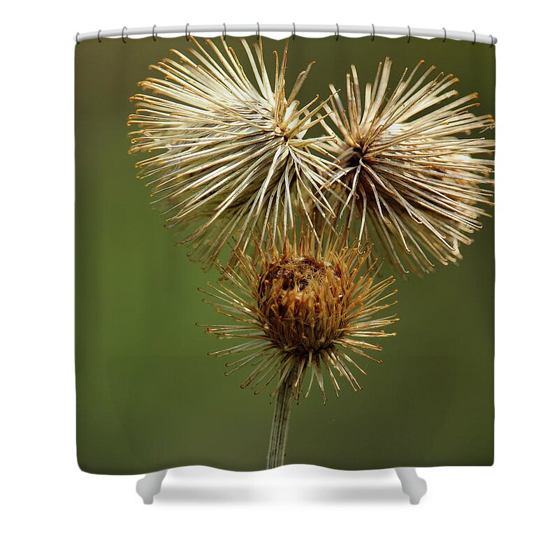 Donegal On Your Wall Shower Curtain featuring the photograph Wildflower Donegal Ireland by Eddie Barron