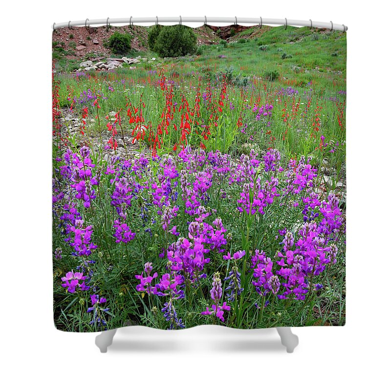 Colorado Shower Curtain featuring the photograph Wildflower Garden along Highway 145 by Ray Mathis