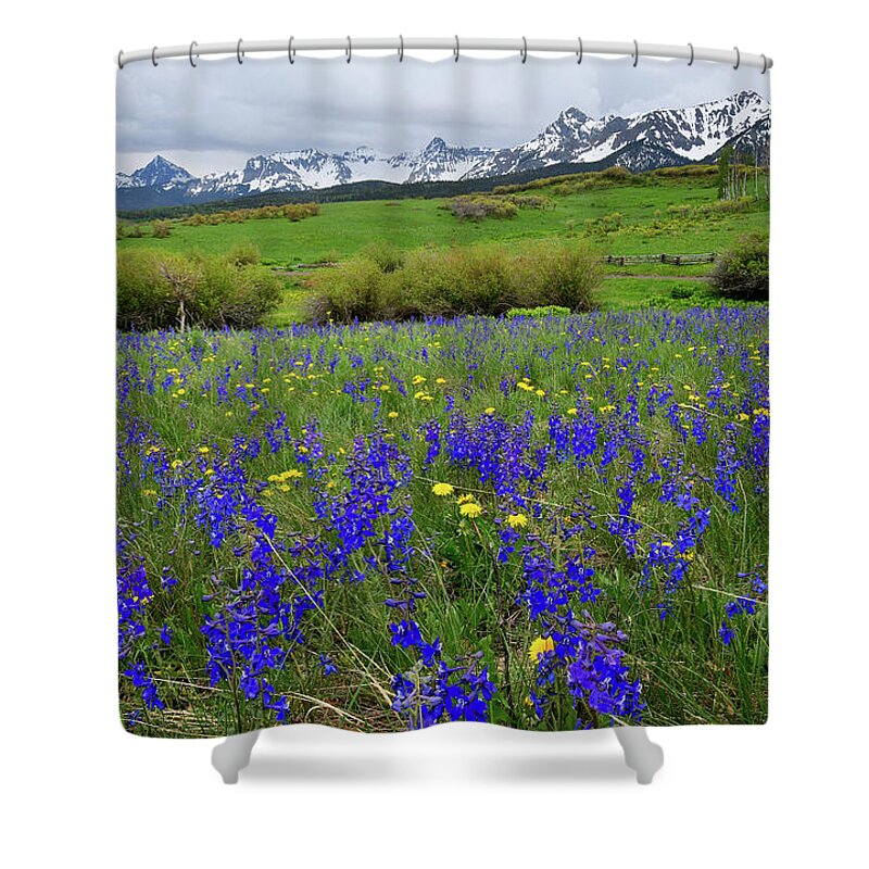 Ouray Shower Curtain featuring the photograph Wildflowers along Last Dollar Road by Ray Mathis