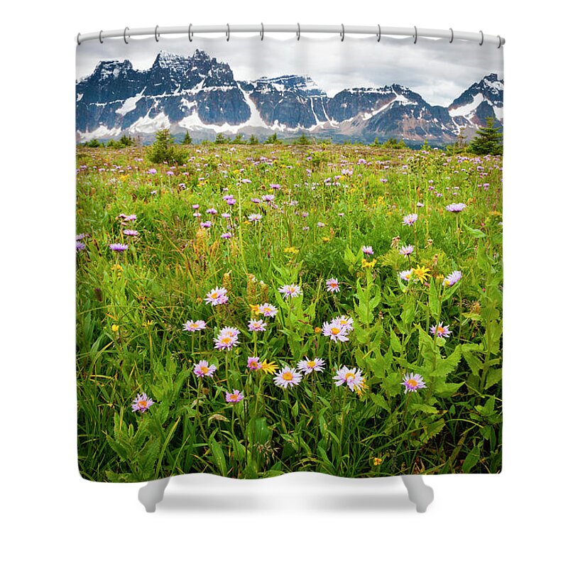 Grass Family Shower Curtain featuring the photograph Wildflowers, Jasper National Park by Mint Images/ Art Wolfe