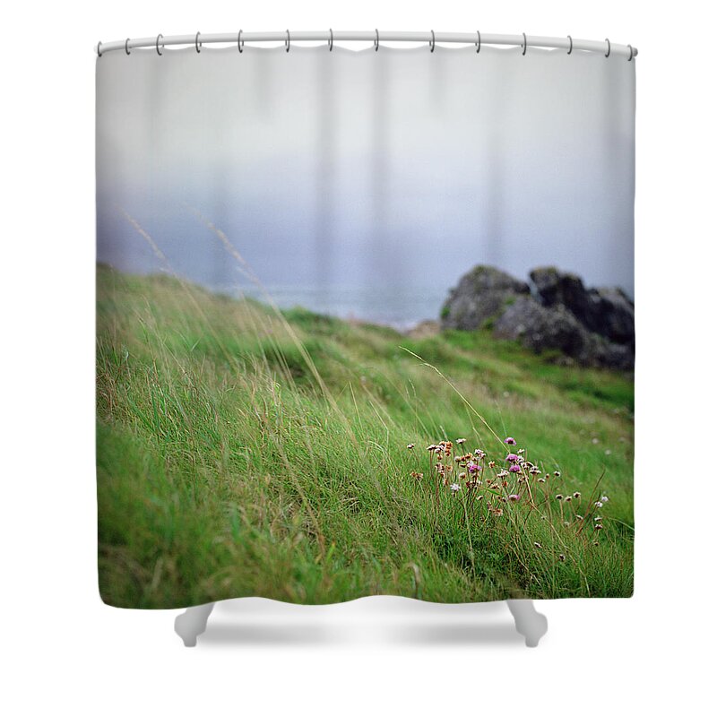 Scenics Shower Curtain featuring the photograph Wildflowers On Green Hillside Under by Danielle D. Hughson