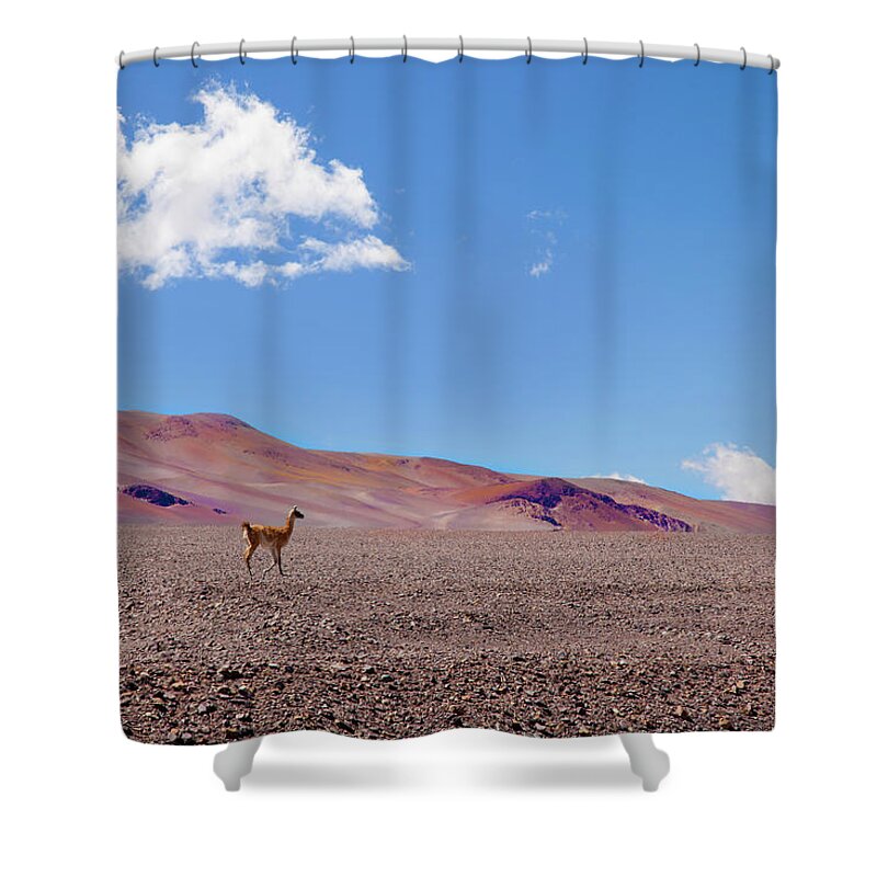 Scenics Shower Curtain featuring the photograph Wildlife Outdoor by E.hanazaki Photography