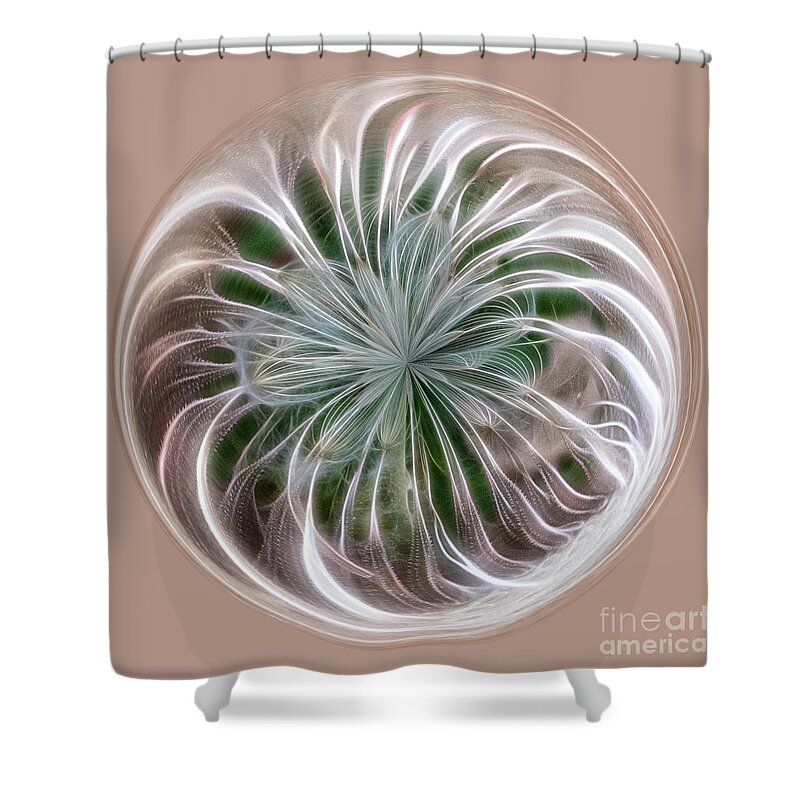 Orb Shower Curtain featuring the photograph Willow Org by Phillip Rubino