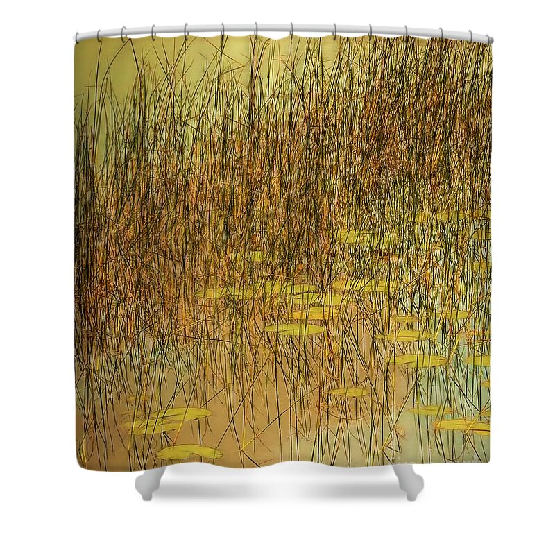  Shower Curtain featuring the photograph Willow Song by Hugh Walker