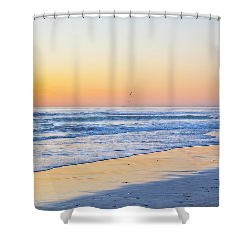 California Beach Shower Curtain featuring the photograph Wind n Sea Bird Flight at Sunset by Catherine Walters