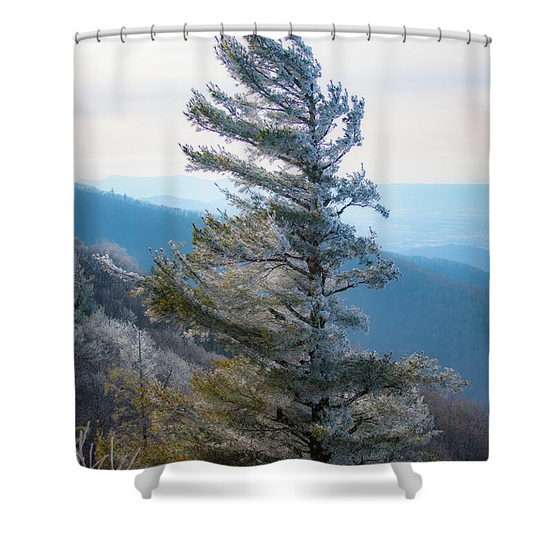 Blue Ridge Shower Curtain featuring the photograph Wind Shaped by Mark Duehmig