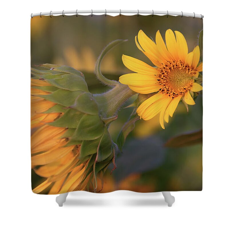 Landscape Shower Curtain featuring the photograph Winding Down by Laura Macky