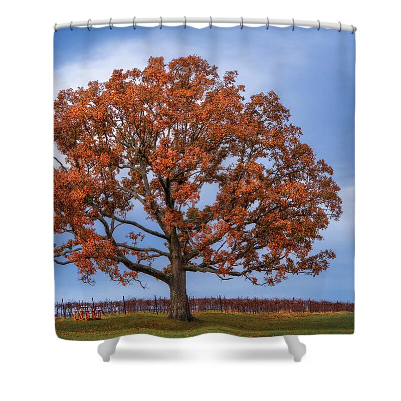 Autumn Shower Curtain featuring the photograph Wine Time by Robert FERD Frank