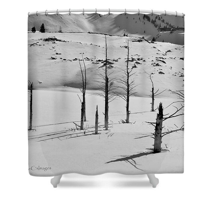 Black And White Shower Curtain featuring the photograph Winter at Quake Lake by Kae Cheatham