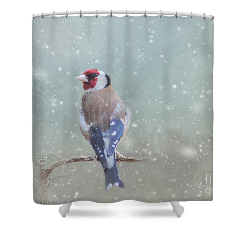 Winter Shower Curtain featuring the mixed media Winter Bird by Eva Lechner