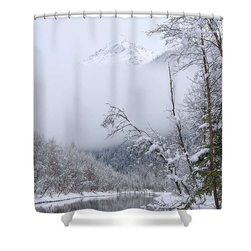 Alaska Shower Curtain featuring the photograph Winter by Chad Dutson