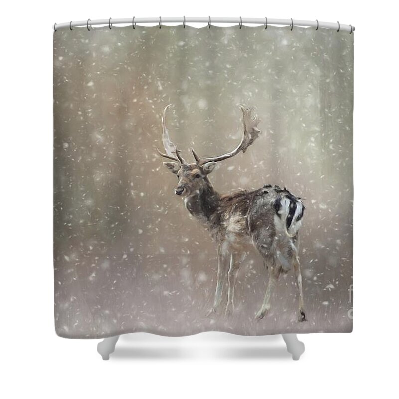 Woods Shower Curtain featuring the mixed media Winter in the Woods by Eva Lechner