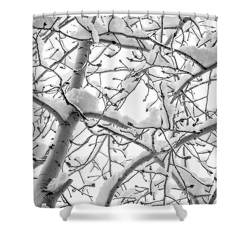 Outdoors Shower Curtain featuring the photograph Winter is here. by Silvia Marcoschamer
