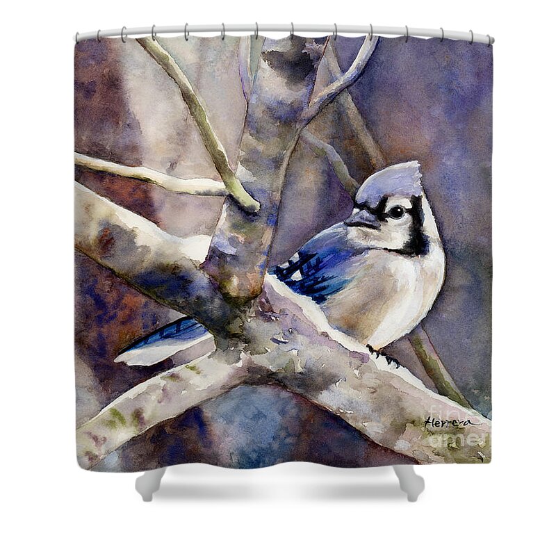 Blue Jay Shower Curtain featuring the painting Winter Jay by Hailey E Herrera