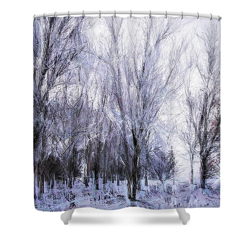 Winter Shower Curtain featuring the painting Winter Lace by Diane Chandler