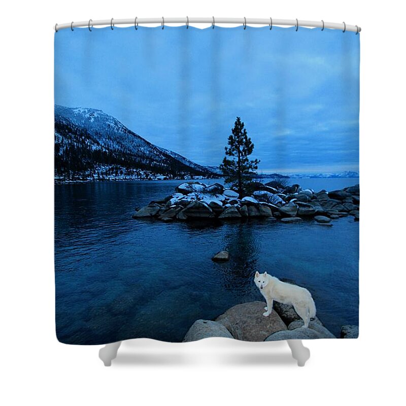 Sekani Shower Curtain featuring the photograph Winter Nightlife by Sean Sarsfield