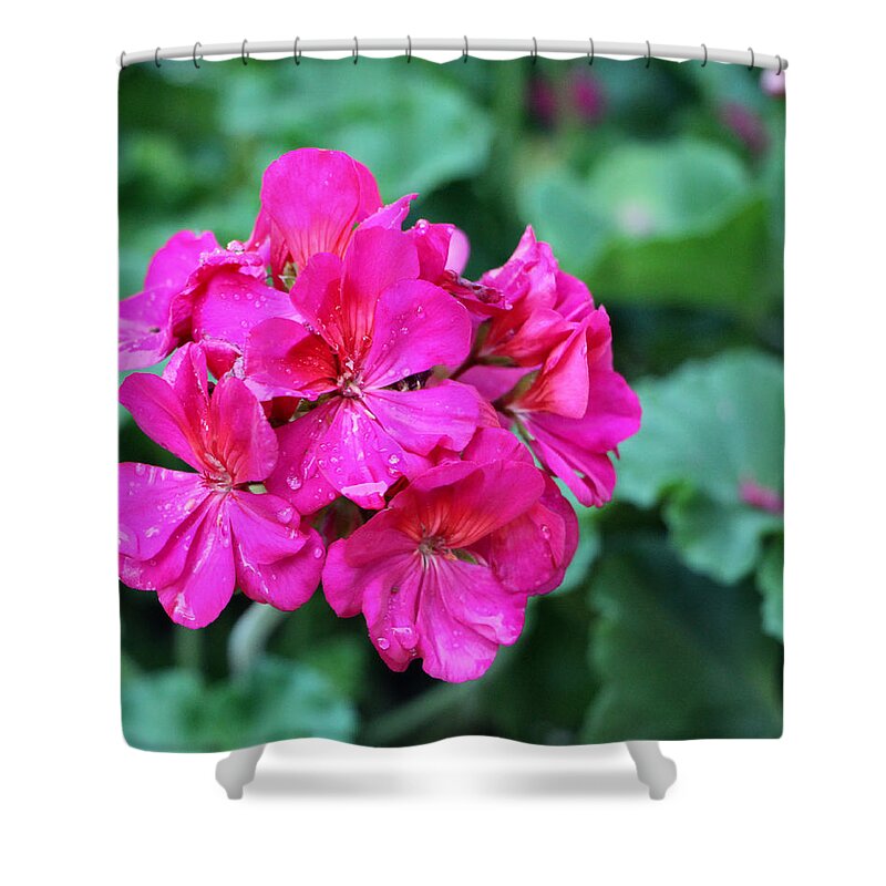 Flower Shower Curtain featuring the photograph Winter Park Morning Rain 1 by Lin Grosvenor