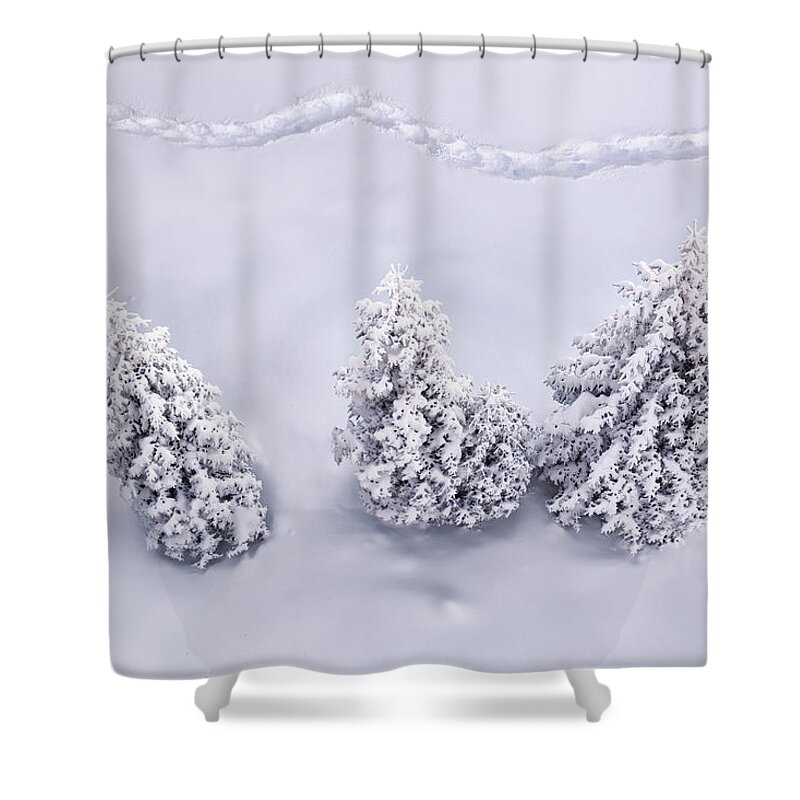 Scenics Shower Curtain featuring the photograph Winter Path by Borchee