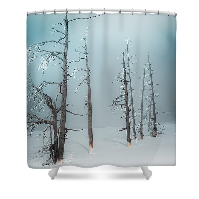 Aqua Shower Curtain featuring the photograph Winter Tranquility by Karen Wiles