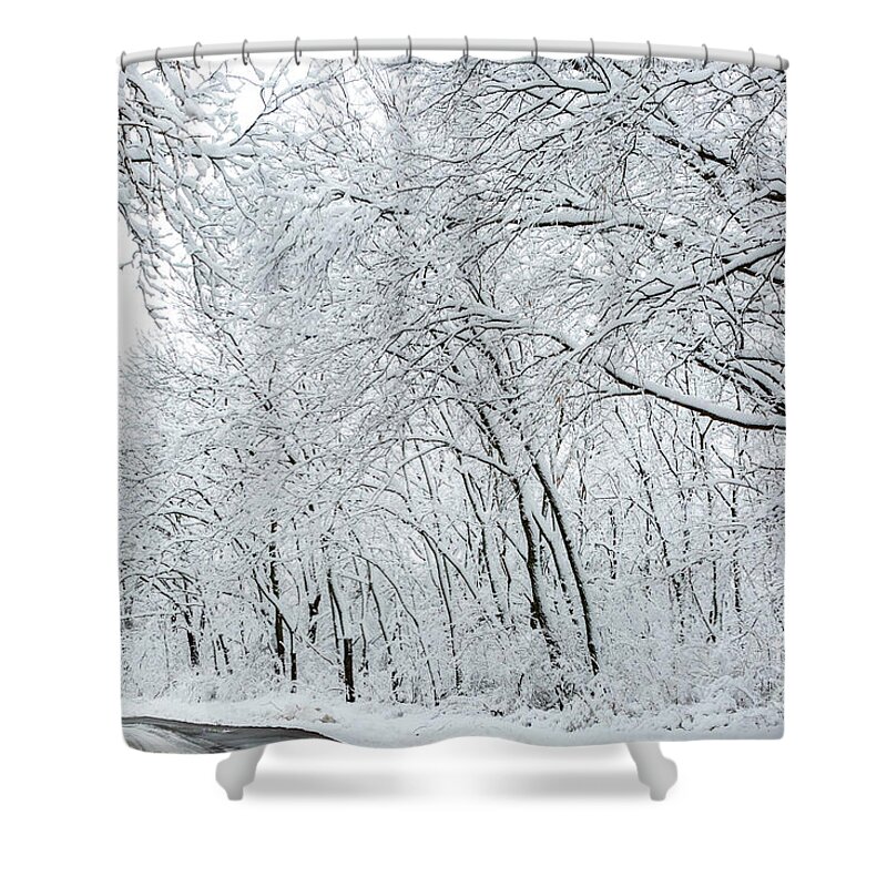 Snow Shower Curtain featuring the photograph Winter Wonderland by Terri Morris