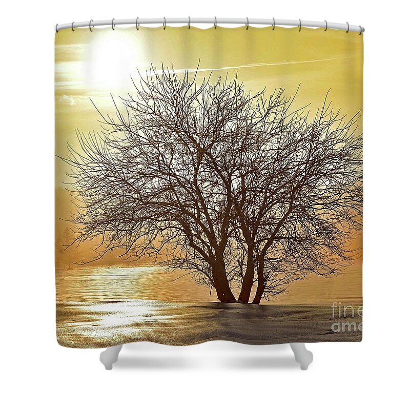Tree Shower Curtain featuring the photograph Winter Wonderland Tree by Cindy Treger