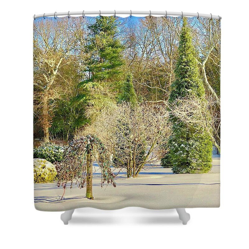 Trees Shower Curtain featuring the photograph Winter Woodland Scene by Lisa Pearlman