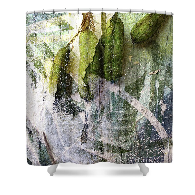 Swamp Shower Curtain featuring the photograph Wistful Might Have Been by Char Szabo-Perricelli